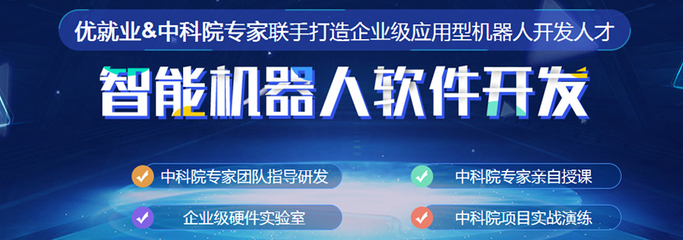 智能机器人培训与人工智能应用软件开发 协同创新与实践路径